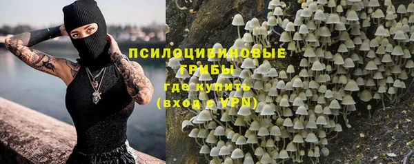 спайс Покачи