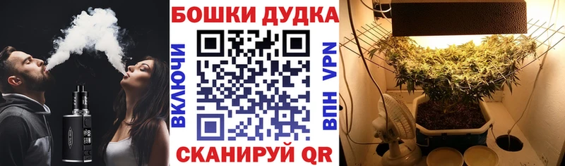 МАРИХУАНА марихуана  что такое наркотик  Ладушкин 